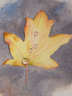 Water drops, watercolour